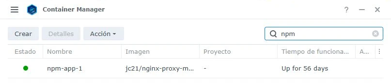 Filtro de Container Manager que muestra el contenedor de Nginx Proxy Manager y su imagen.
